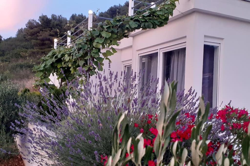 Vis - Luxury Holiday Villa With Swimming Pool Exteriör bild